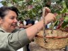 İskenderoğlu’ndan Şahin’e davet 