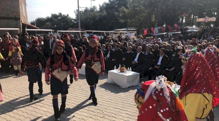 Ahmetçe Köyü’nde Zeytin Hasat Şenliği 