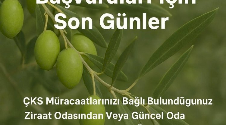 Ezine İlçe Tarım Müdürlüğü ÇKS başvuruları için son tarihi hatırlattı