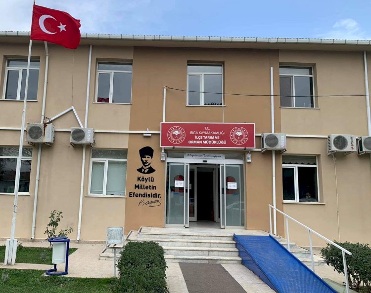 Biga’da üreticilere İtalyan çimi desteği